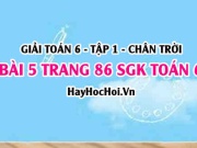 Giải bài 5 trang 86 Toán 6 Tập 1 SGK Chân trời sáng tạo